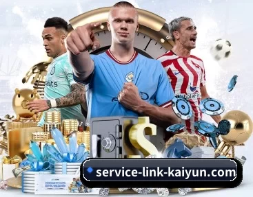 service-link-kaiyun.com的故事