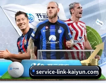 service-link-kaiyun.com的故事