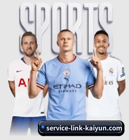 service-link-kaiyun.com APP