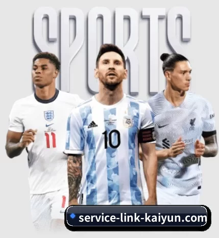 service-link-kaiyun.com APP 界面