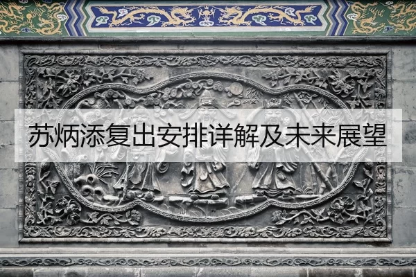 苏炳添复出安排详解及未来展望